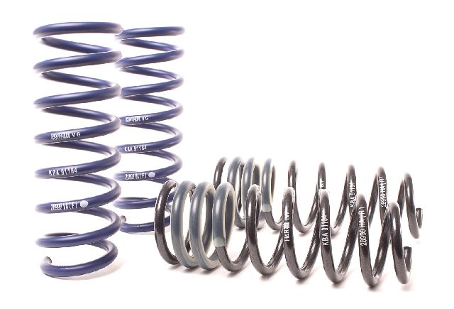 2009-2015 BMW 750i Coil Spring Lowering Kit (H&R Special Springs LP)