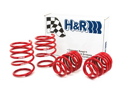 1999-2000 BMW 328i Coil Spring Lowering Kit (H&R Special Springs LP)