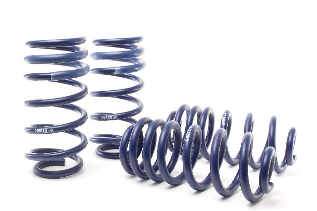 2018 Audi Q5 Coil Spring Lowering Kit (H&R Special Springs LP)
