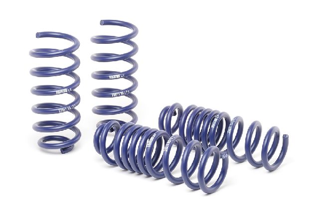 2015-2019 Mercedes-Benz C300 Coil Spring Lowering Kit (H&R Special Springs LP)