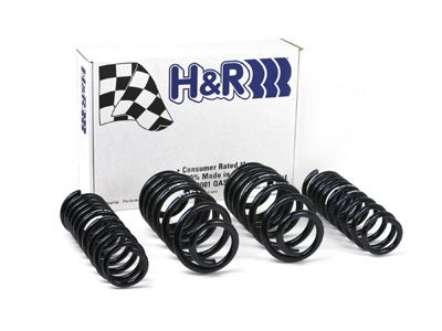 1996-2001 Audi A4 Quattro Coil Spring Lowering Kit (H&R Special Springs LP)