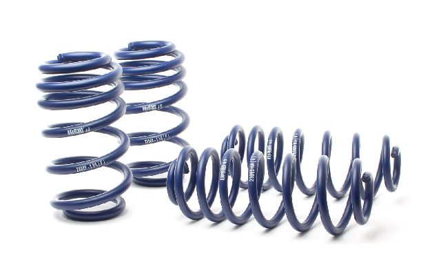 2013-2016 Audi A4 allroad Coil Spring Lowering Kit (H&R Special Springs LP)