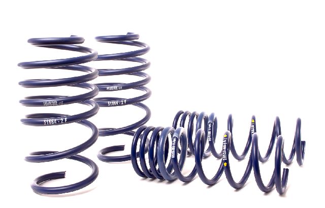 2014-2018 Ford Focus Coil Spring Lowering Kit (H&R Special Springs LP)