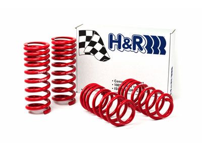 1979-2004 Ford Mustang Coil Spring Lowering Kit (H&R Special Springs LP)