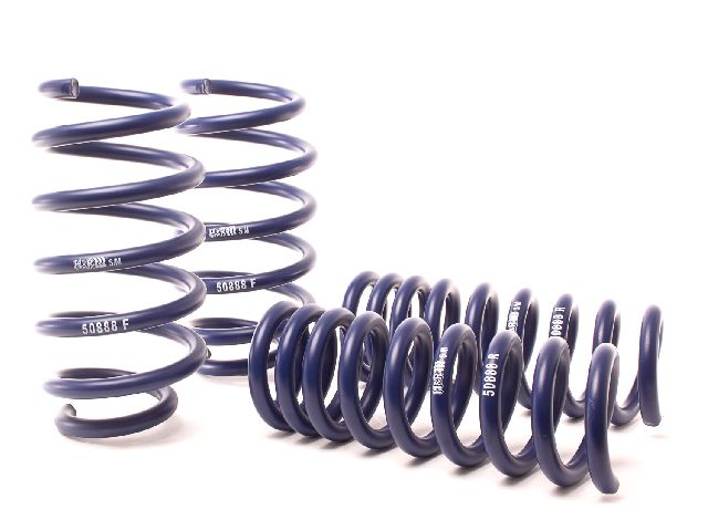 2006-2019 Dodge Charger Coil Spring Lowering Kit (H&R Special Springs LP)