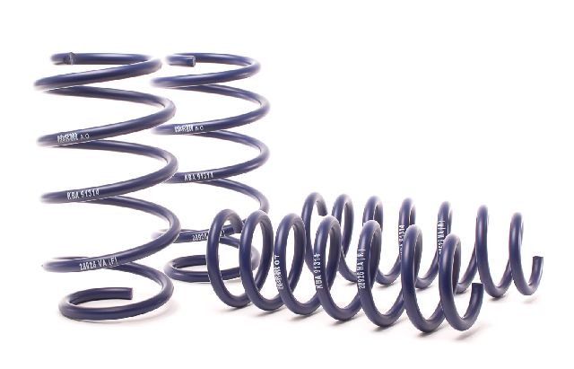 2015-2018 BMW X4 Coil Spring Lowering Kit (H&R Special Springs LP)