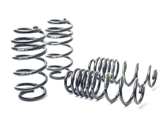 2009-2017 Volkswagen CC Coil Spring Lowering Kit (H&R Special Springs LP)