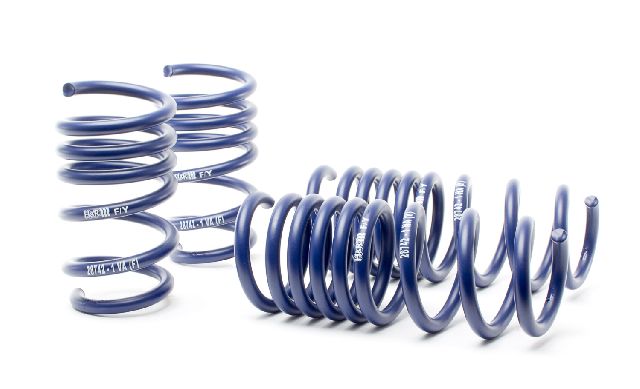 2017-2018 Audi R8 Coil Spring Lowering Kit (H&R Special Springs LP)