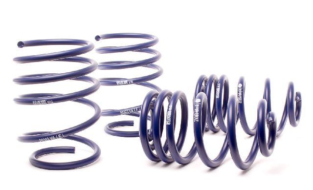 2001-2005 BMW 325xi Coil Spring Lowering Kit (H&R Special Springs LP)