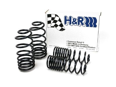 1993-1994 Volkswagen Passat Coil Spring Lowering Kit (H&R Special Springs LP)