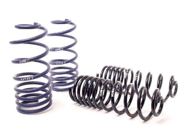 1993-1994 Volkswagen Passat Coil Spring Lowering Kit (H&R Special Springs LP)
