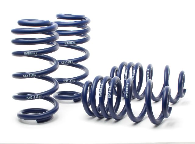 2005-2011 Audi A6 Coil Spring Lowering Kit (H&R Special Springs LP)