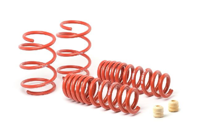 2015-2019 BMW M4 Coil Spring Lowering Kit (H&R Special Springs LP)