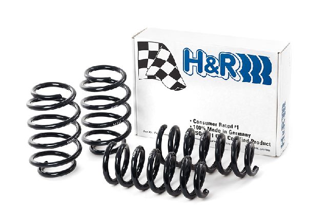 2009-2019 Ford Flex Coil Spring Lowering Kit (H&R Special Springs LP)