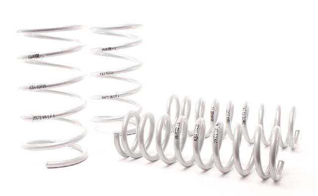 1990-1995 BMW 525i Coil Spring Lowering Kit (H&R Special Springs LP)