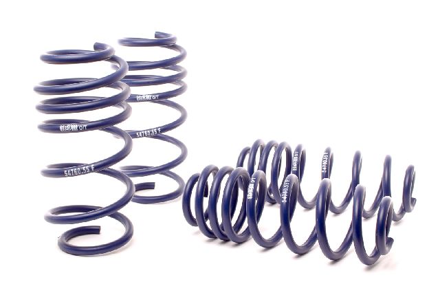 2006-2019 Volkswagen Passat Coil Spring Lowering Kit (H&R Special Springs LP)