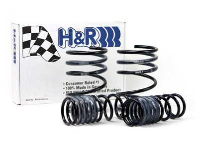 2002-2004 Acura RSX Coil Spring Lowering Kit (H&R Special Springs LP)