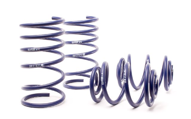 1984-1985 BMW 318i Coil Spring Lowering Kit (H&R Special Springs LP)