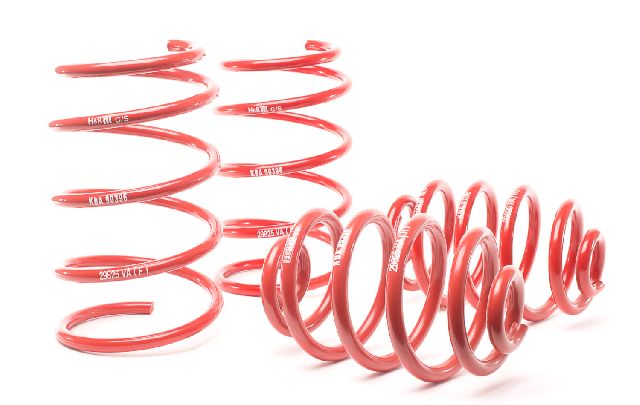 1992-1998 BMW 318is Coil Spring Lowering Kit (H&R Special Springs LP)