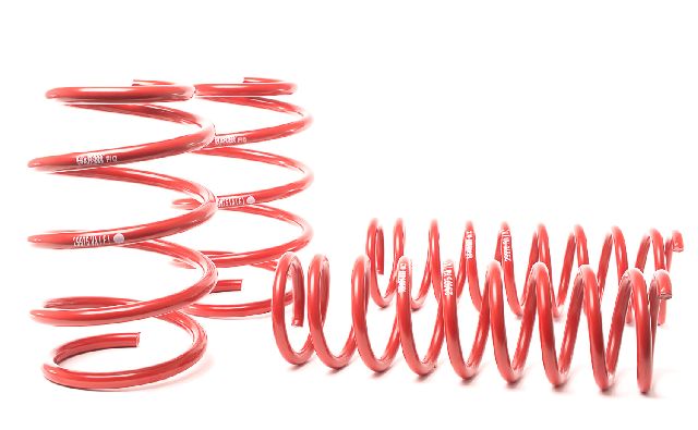 1995-2001 BMW 740i Coil Spring Lowering Kit (H&R Special Springs LP)