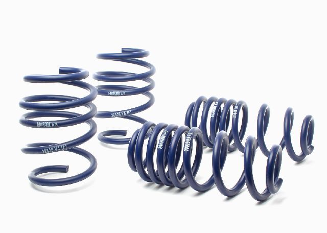 2015-2019 Audi S3 Coil Spring Lowering Kit (H&R Special Springs LP)
