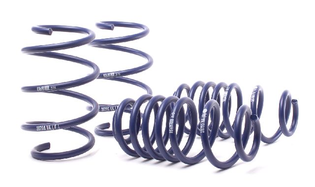 2016-2018 BMW X1 Coil Spring Lowering Kit (H&R Special Springs LP)