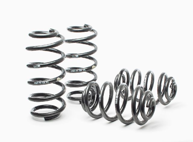 1999-2000 Audi A6 Coil Spring Lowering Kit (H&R Special Springs LP)