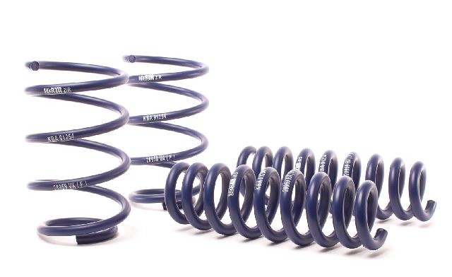 2013-2015 BMW X1 Coil Spring Lowering Kit (H&R Special Springs LP)