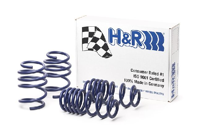 2015-2019 Audi A3 Quattro Coil Spring Lowering Kit (H&R Special Springs LP)