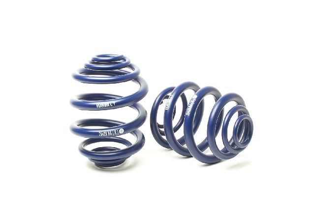 1994-2003 Volkswagen EuroVan Coil Spring Lowering Kit (H&R Special Springs LP)