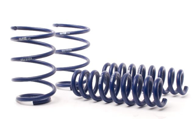 2018 BMW X2 Coil Spring Lowering Kit (H&R Special Springs LP)