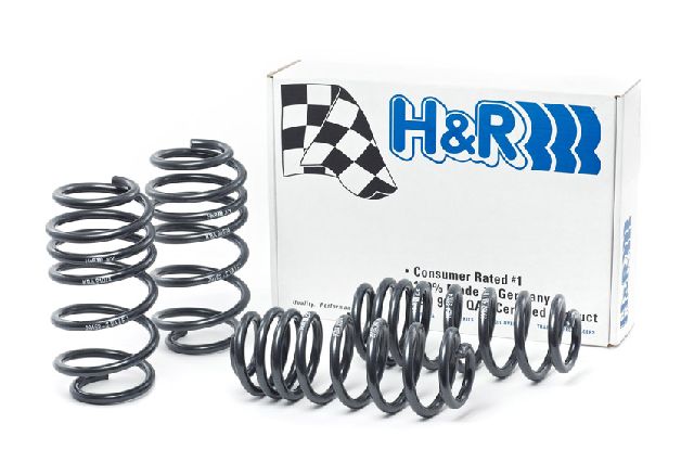 2012-2017 Volkswagen Passat Coil Spring Lowering Kit (H&R Special Springs LP)
