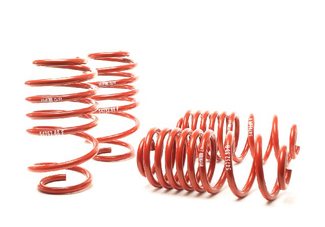 2006-2009 Volkswagen GTI Coil Spring Lowering Kit (H&R Special Springs LP)