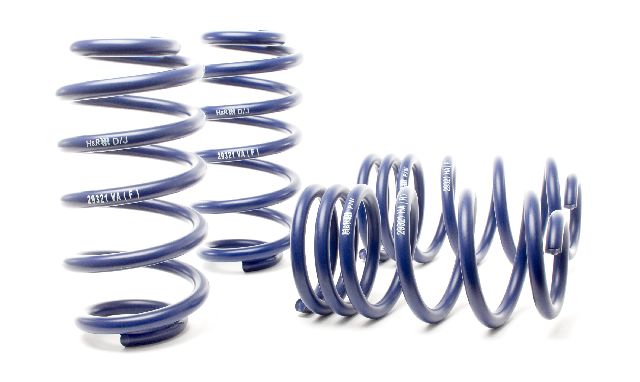 2002-2004 Volkswagen Passat Coil Spring Lowering Kit (H&R Special Springs LP)