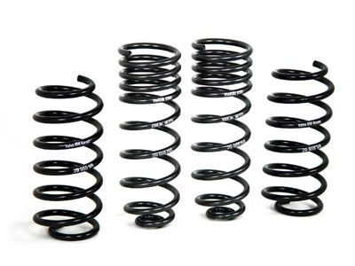 1998-1999 Volvo V70 Coil Spring Lowering Kit (H&R Special Springs LP)