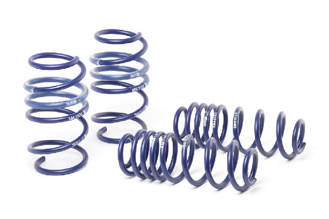 2015-2019 Volkswagen Golf Coil Spring Lowering Kit (H&R Special Springs LP)