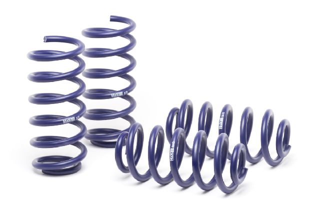 2017-2018 Audi A4 Coil Spring Lowering Kit (H&R Special Springs LP)