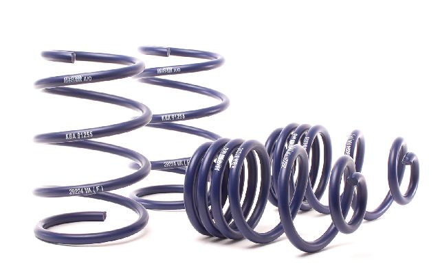 2004-2010 BMW X3 Coil Spring Lowering Kit (H&R Special Springs LP)