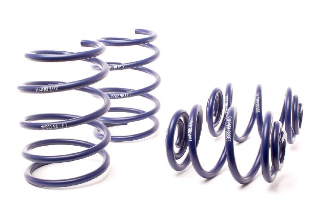 1995-1998 BMW 318ti Coil Spring Lowering Kit (H&R Special Springs LP)