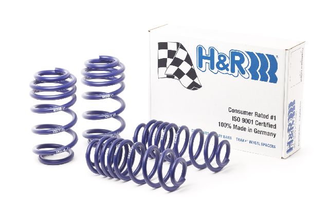2014-2017 Audi SQ5 Coil Spring Lowering Kit (H&R Special Springs LP)