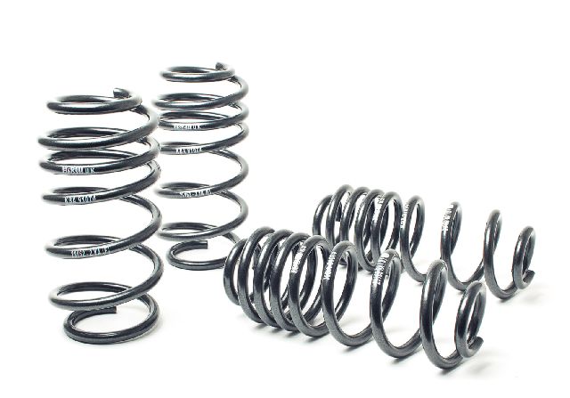 2009-2017 Volkswagen CC Coil Spring Lowering Kit (H&R Special Springs LP)