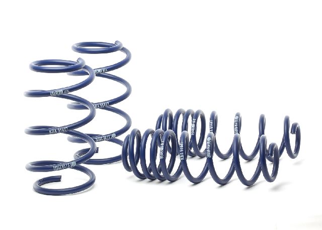 2015-2019 Audi A3 Coil Spring Lowering Kit (H&R Special Springs LP)