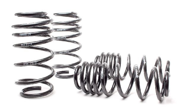 2007-2010 Volkswagen Passat Coil Spring Lowering Kit (H&R Special Springs LP)