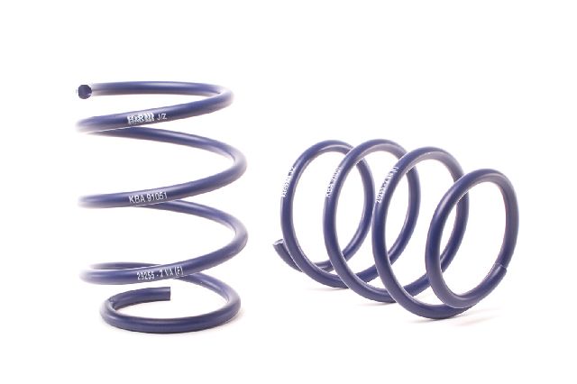 2004-2006 BMW 545i Coil Spring Lowering Kit (H&R Special Springs LP)