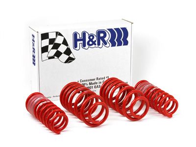 1996-2001 Audi A4 Quattro Coil Spring Lowering Kit (H&R Special Springs LP)