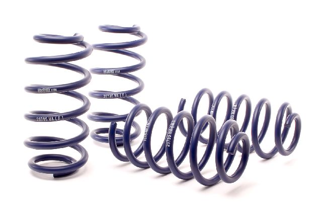 2000-2005 Volkswagen Passat Coil Spring Lowering Kit (H&R Special Springs LP)