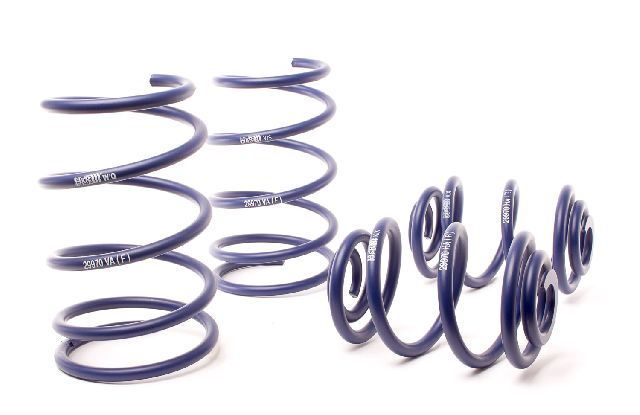 1995-1998 BMW 318ti Coil Spring Lowering Kit (H&R Special Springs LP)