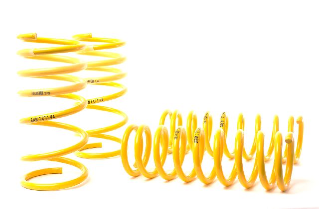 1993-1994 BMW 740i Coil Spring Lowering Kit (H&R Special Springs LP)