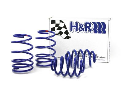 1996-1998 BMW 328i Coil Spring Lowering Kit (H&R Special Springs LP)