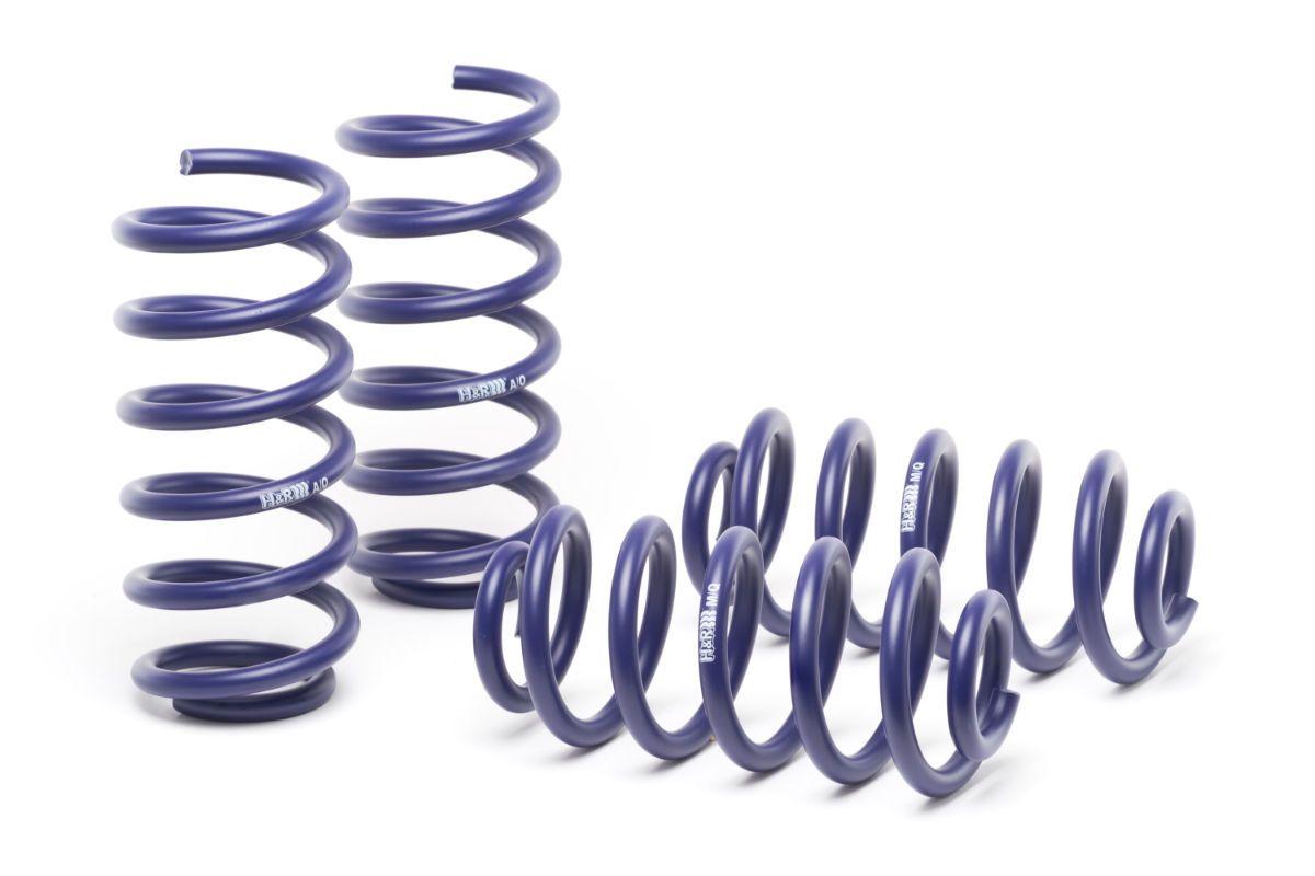 2018, 2017 Audi A4 Coil Spring Lowering Kit